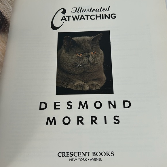Desmond Morris “Illustrated Catwatching” Vintage New Old Stock Hardcover Book - Picture 3 of 16